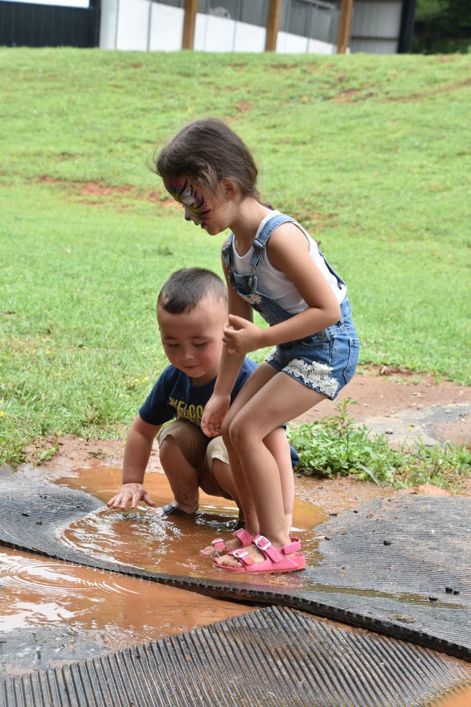 mimosa farm 2019 181 (683x1024).jpg